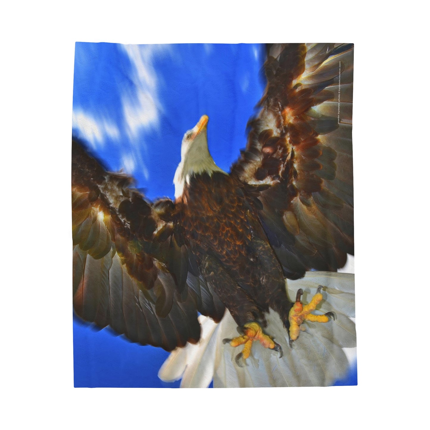 Skyward Majesty Velveteen Plush Blanket