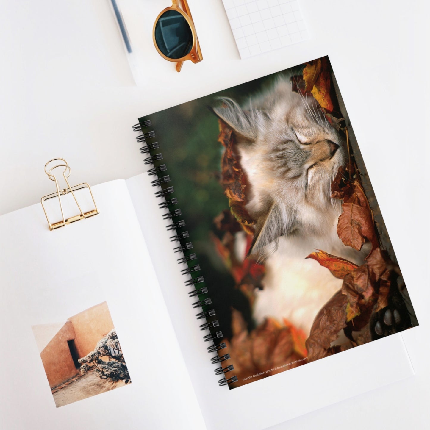 Toe Beans Spiral Notebook - Ruled Line