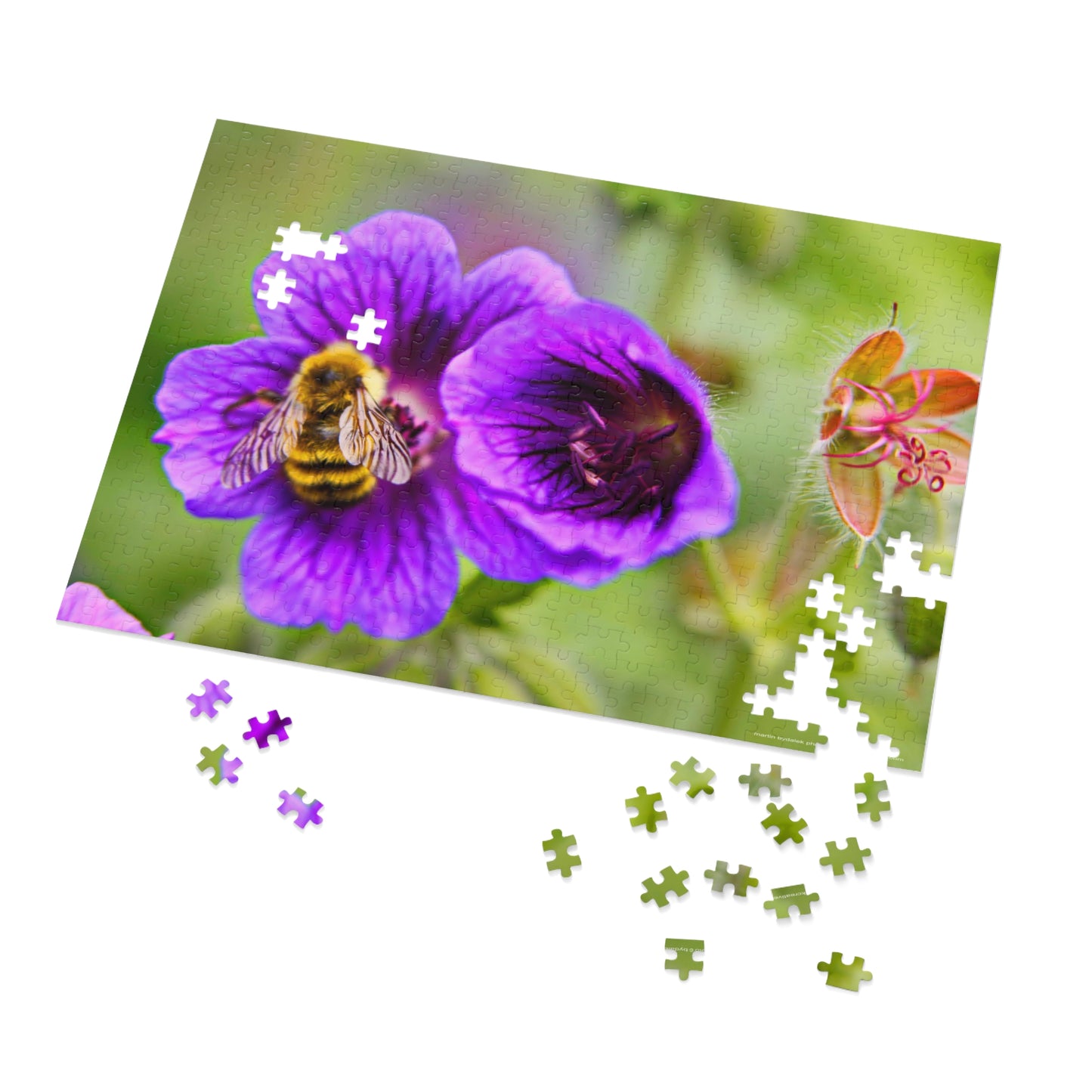 A Bee and Bloom Jigsaw Puzzle (30, 110, 252, 500,1000-Piece)