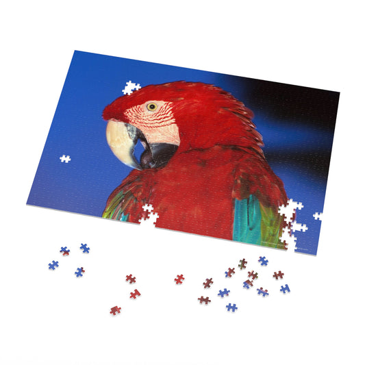 Macaw Jigsaw Puzzle (30, 110, 252, 500,1000-Piece)