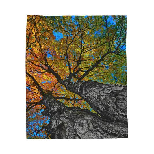 Autumn Canopy Velveteen Plush Blanket
