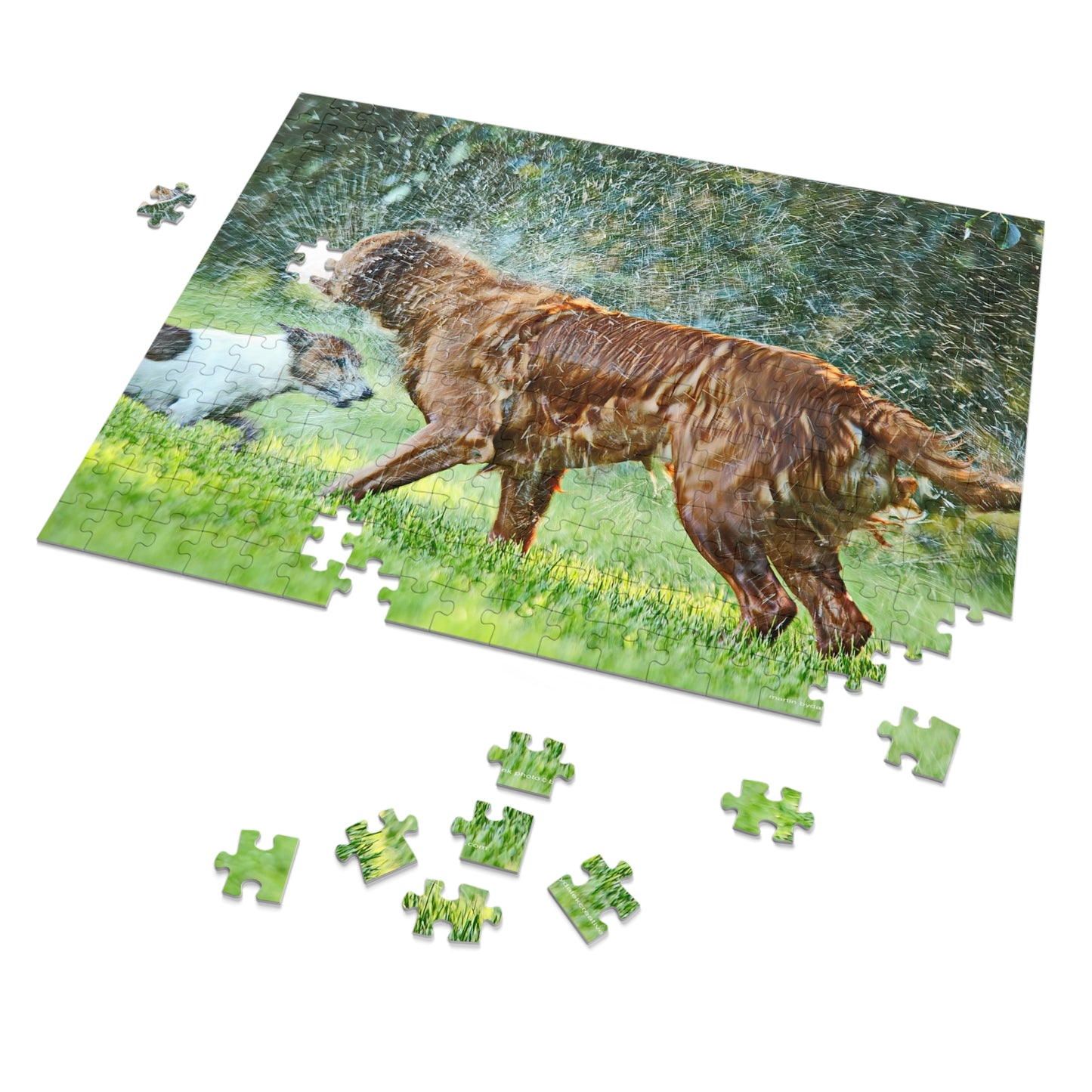 Aqua Playtime Jigsaw Puzzle (30, 110, 252, 500,1000-Piece)
