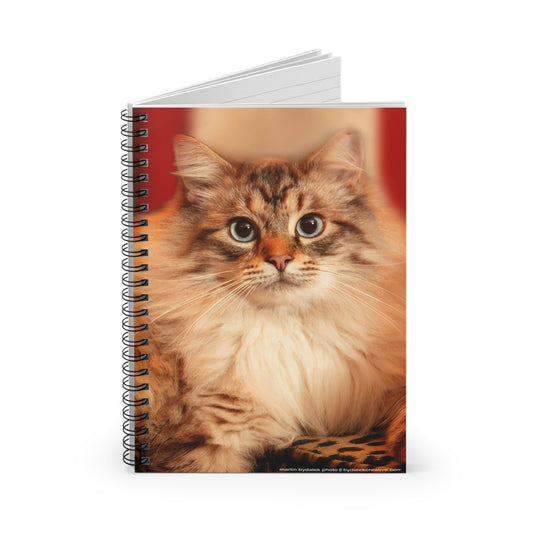 Prince of Maine Spiral Notebook - Ruled Line