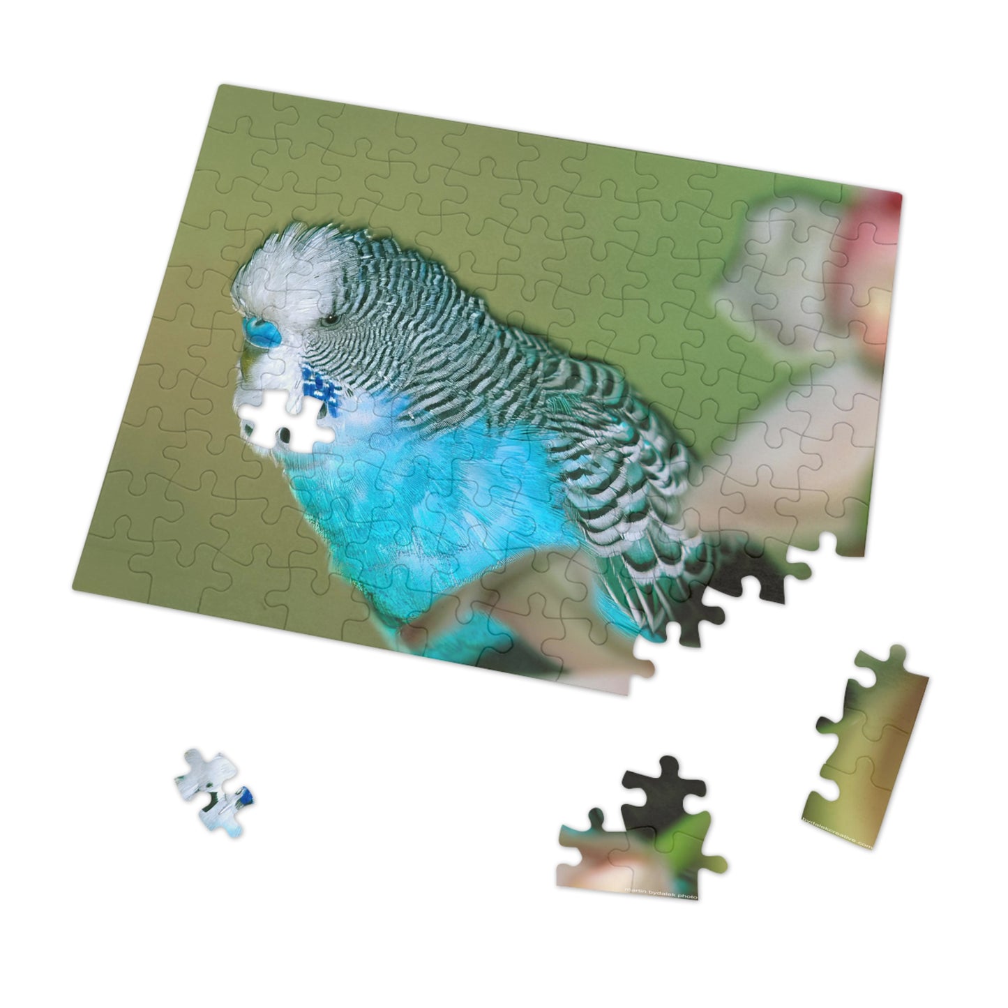 Parakeet Jigsaw Puzzle (30, 110, 252, 500,1000-Piece)