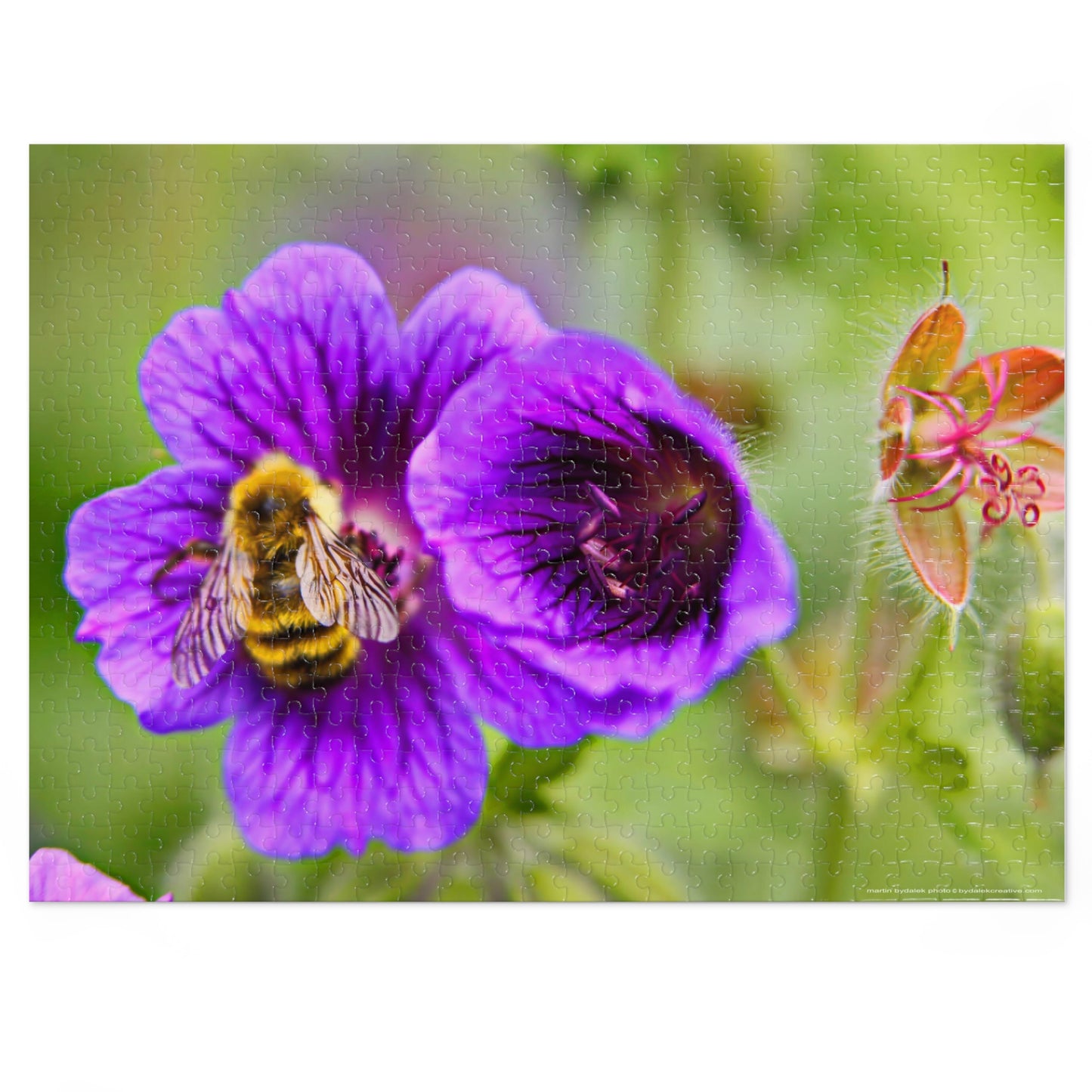 A Bee and Bloom Jigsaw Puzzle (30, 110, 252, 500,1000-Piece)