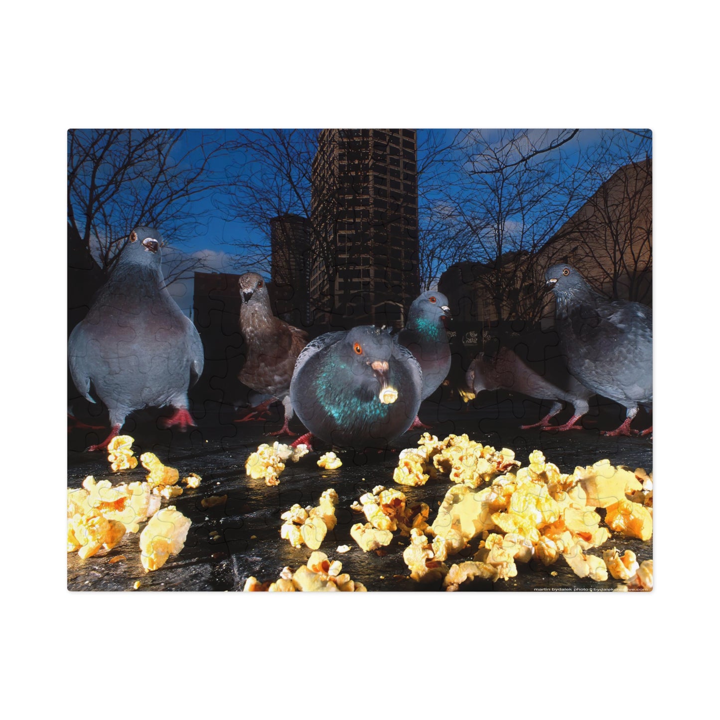 Pigeon Picnic Jigsaw Puzzle (30, 110, 252, 500,1000-Piece)