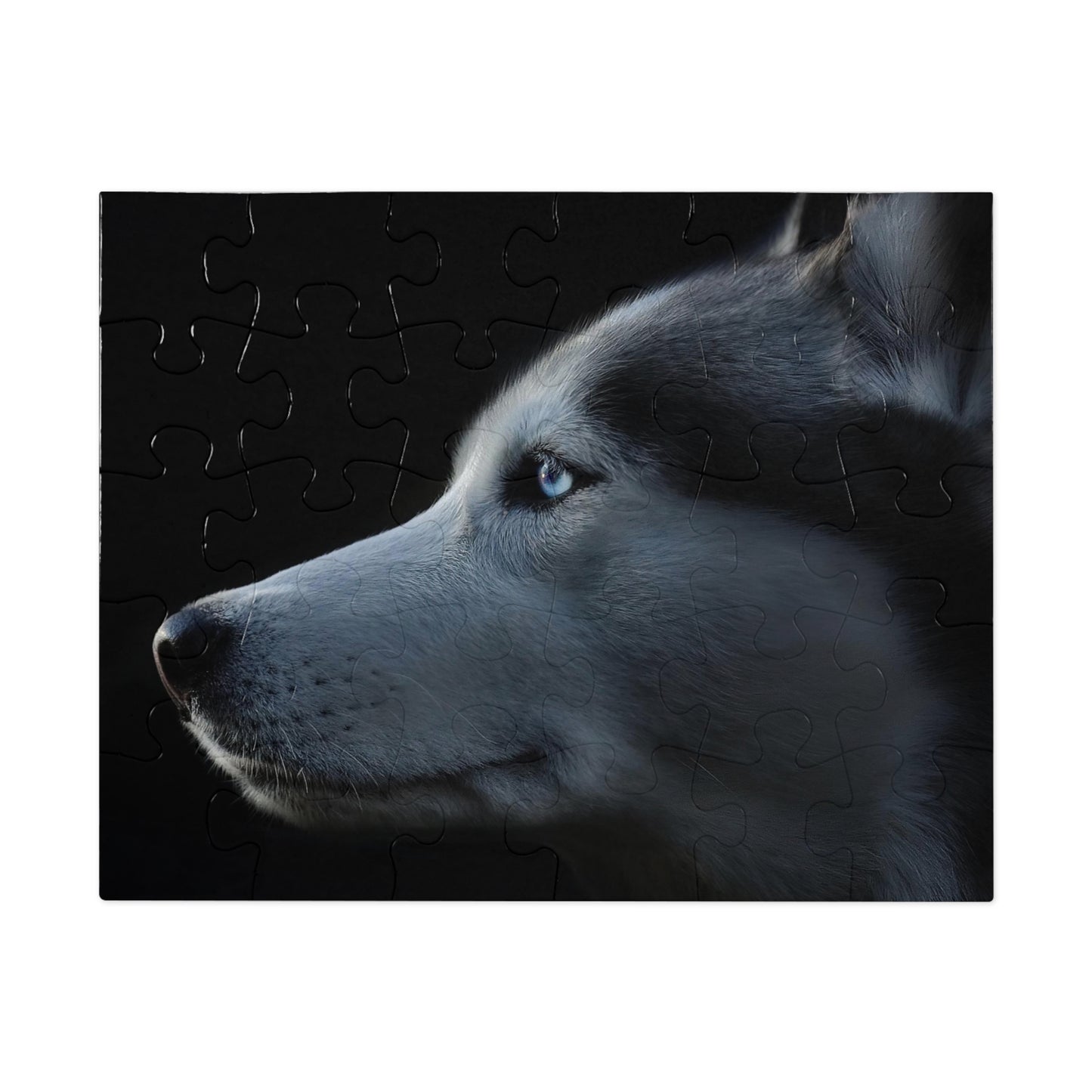 Husky Gaze Jigsaw Puzzle (30, 110, 252, 500,1000-Piece)