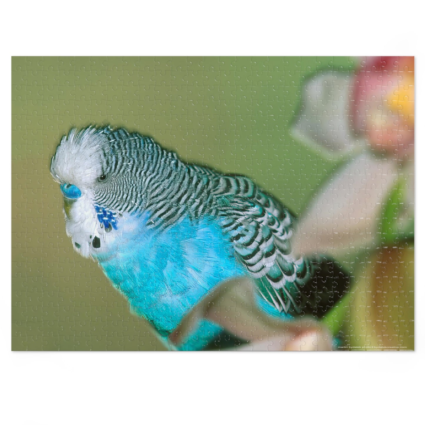 Parakeet Jigsaw Puzzle (30, 110, 252, 500,1000-Piece)