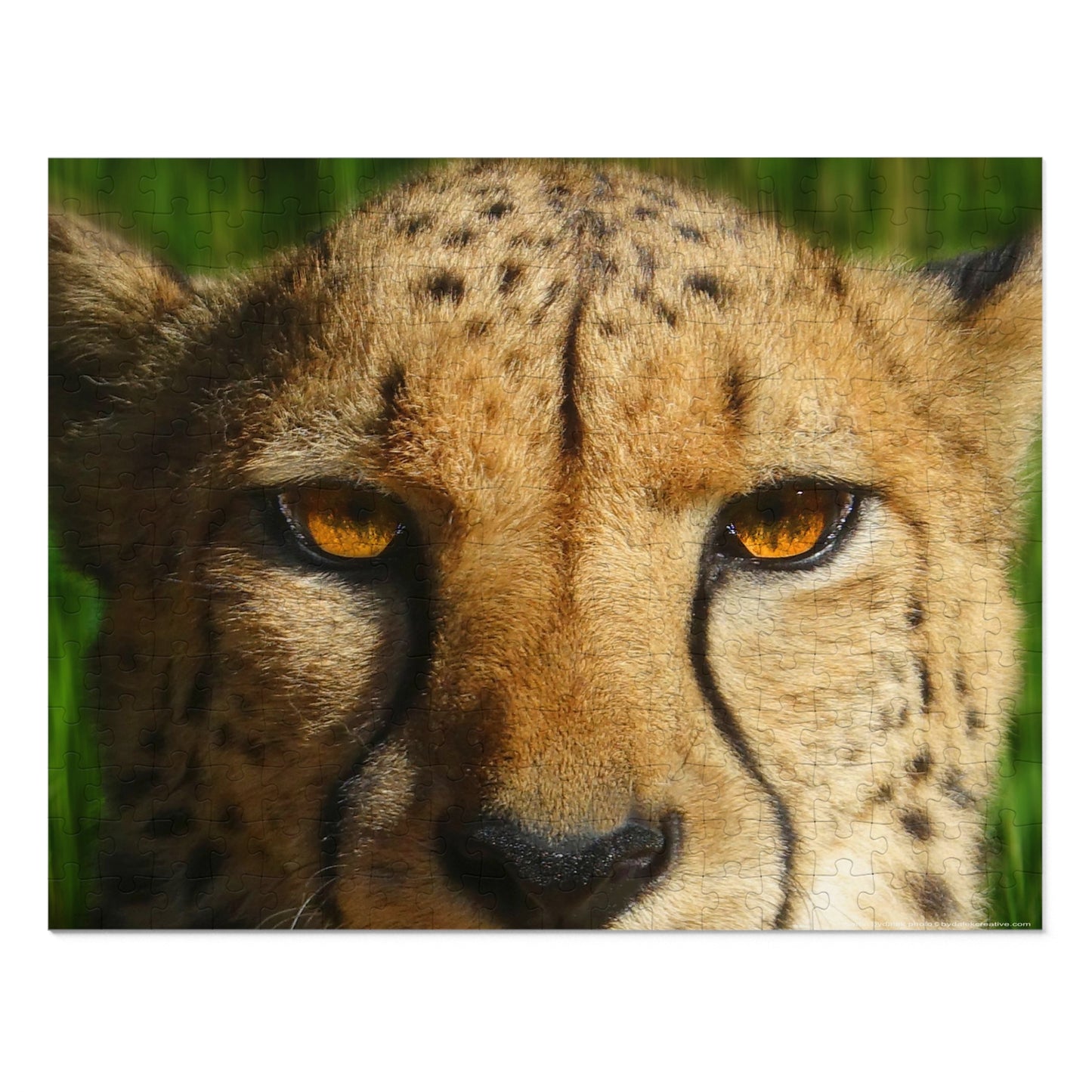 Swift Spots Jigsaw Puzzle (30, 110, 252, 500,1000-Piece)