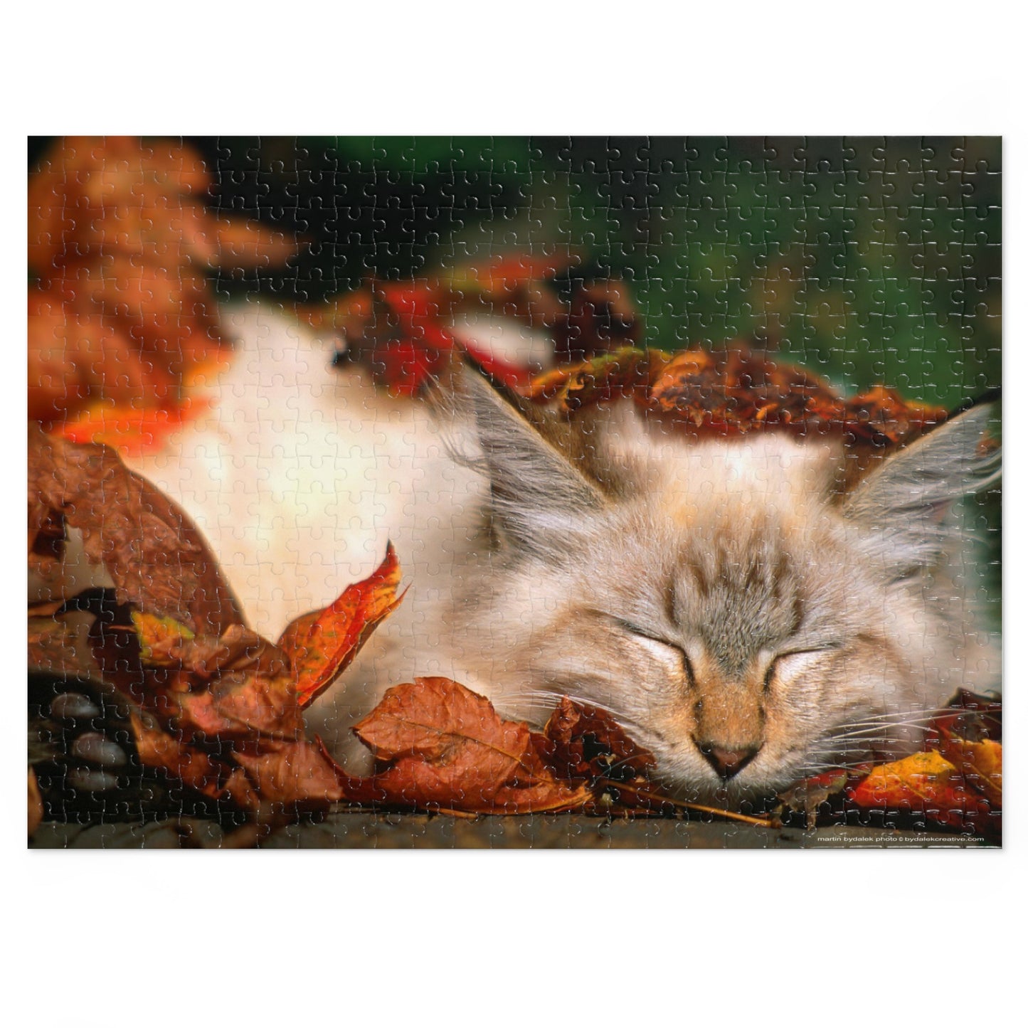 Toe Beans Jigsaw Puzzle (30, 110, 252, 500,1000-Piece)