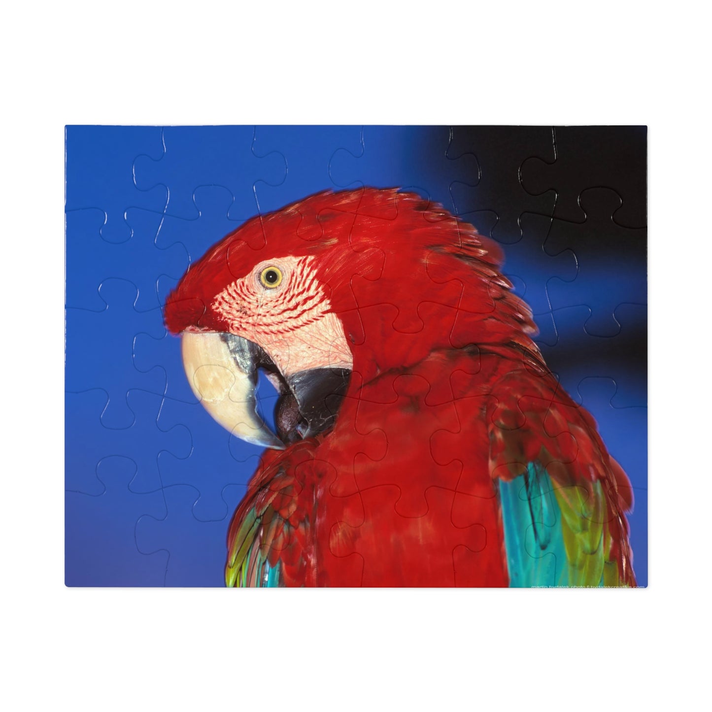 Macaw Jigsaw Puzzle (30, 110, 252, 500,1000-Piece)