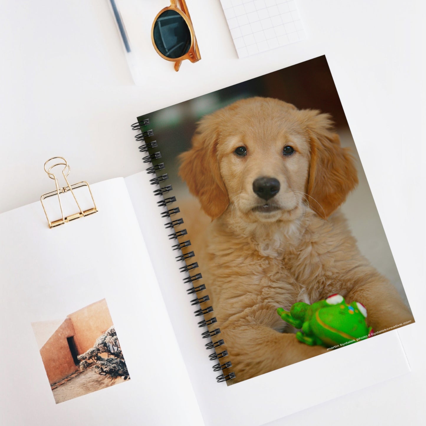 Playful Paws Spiral Notebook - Ruled Line