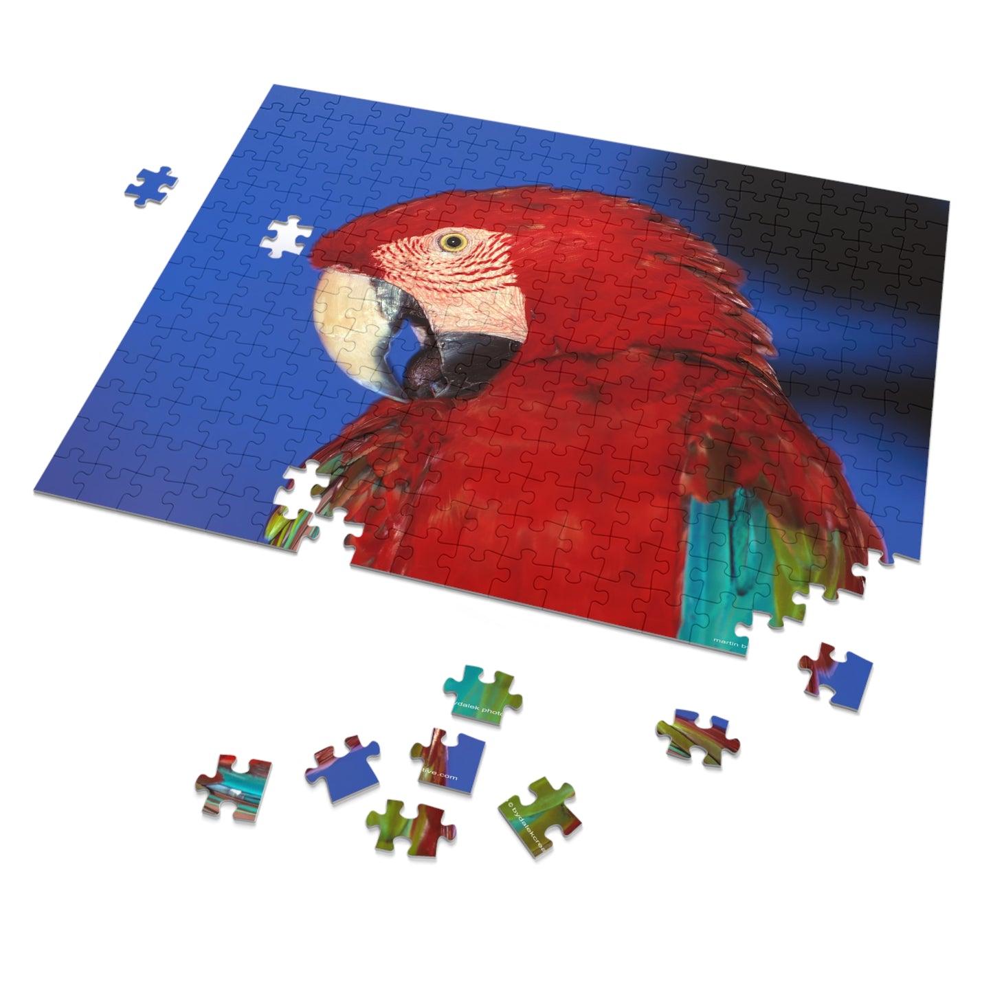 Macaw Jigsaw Puzzle (30, 110, 252, 500,1000-Piece)