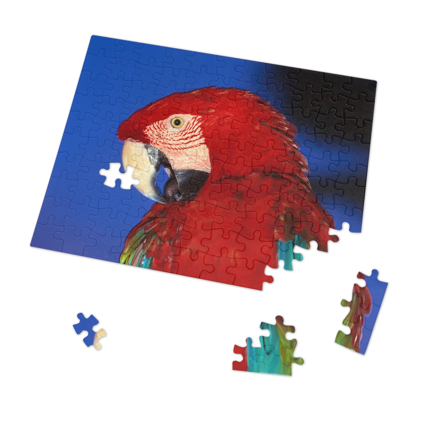 Macaw Jigsaw Puzzle (30, 110, 252, 500,1000-Piece)