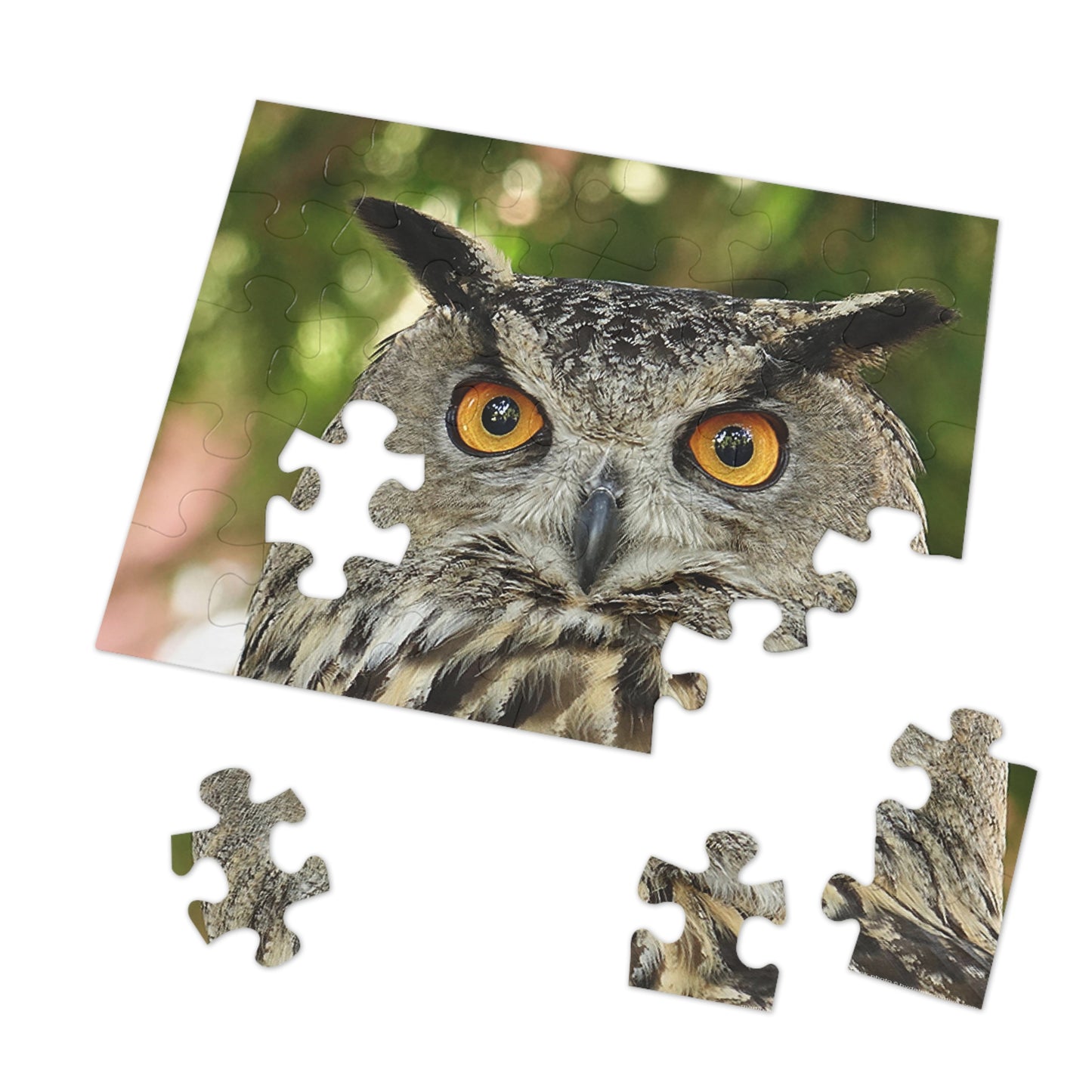 Enchanting Owl Jigsaw Puzzle (30, 110, 252, 500,1000-Piece)