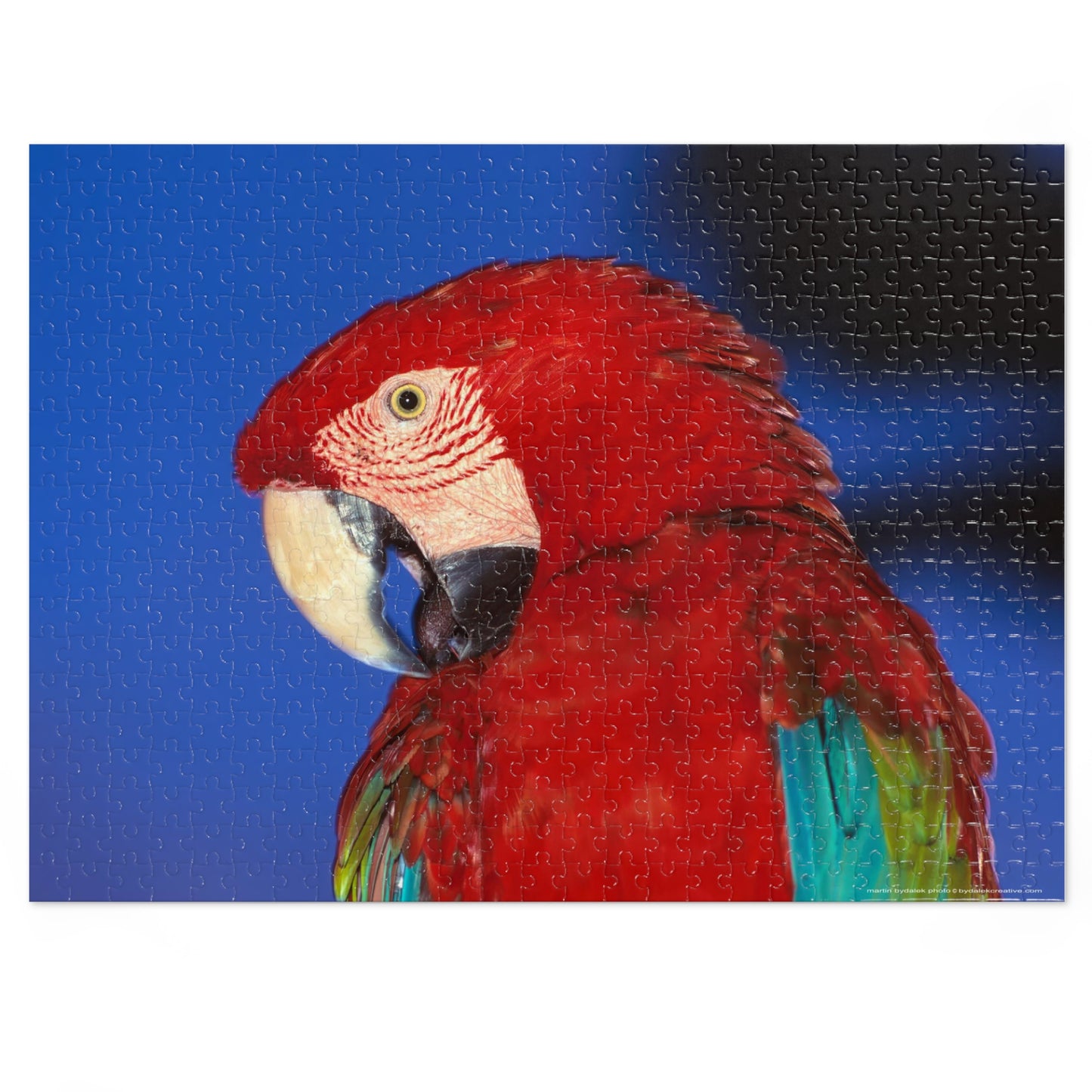 Macaw Jigsaw Puzzle (30, 110, 252, 500,1000-Piece)