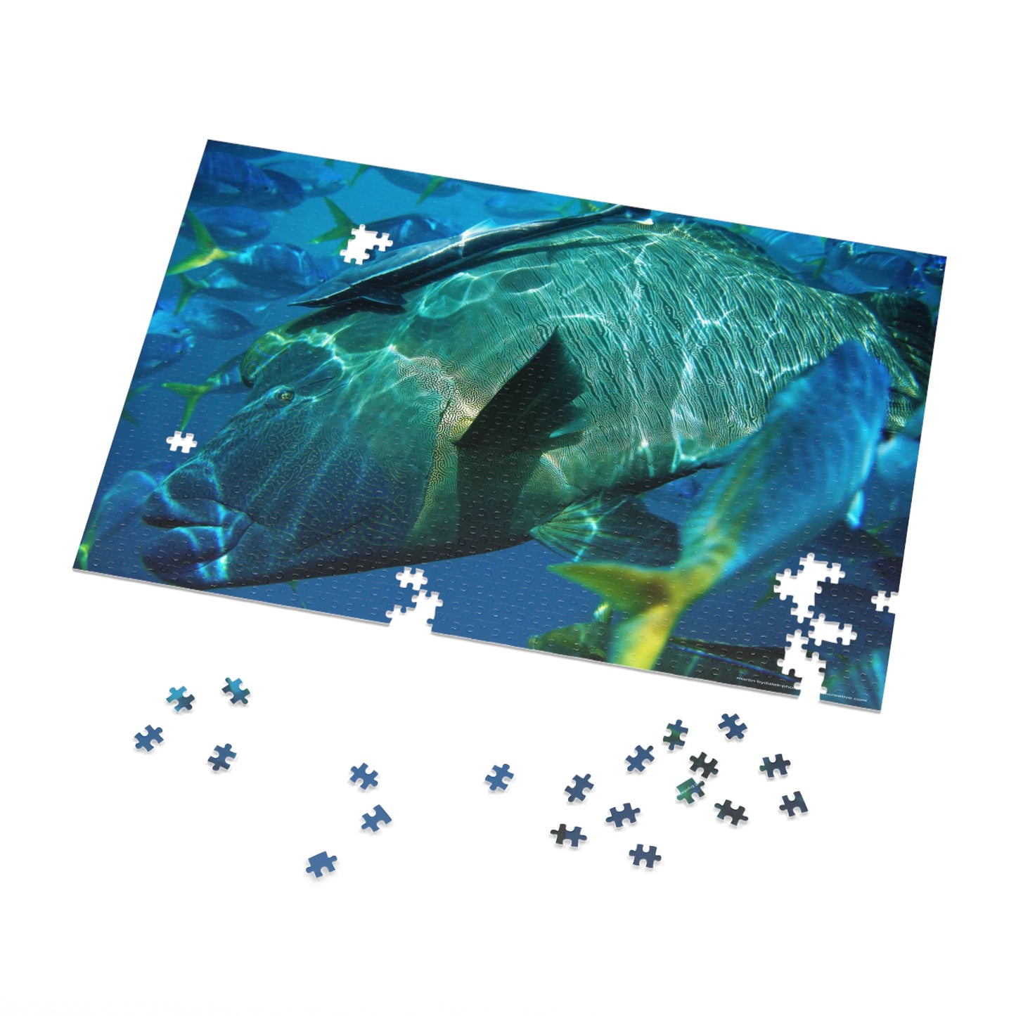 Sea Wonder Jigsaw Puzzle (30, 110, 252, 500,1000-Piece)