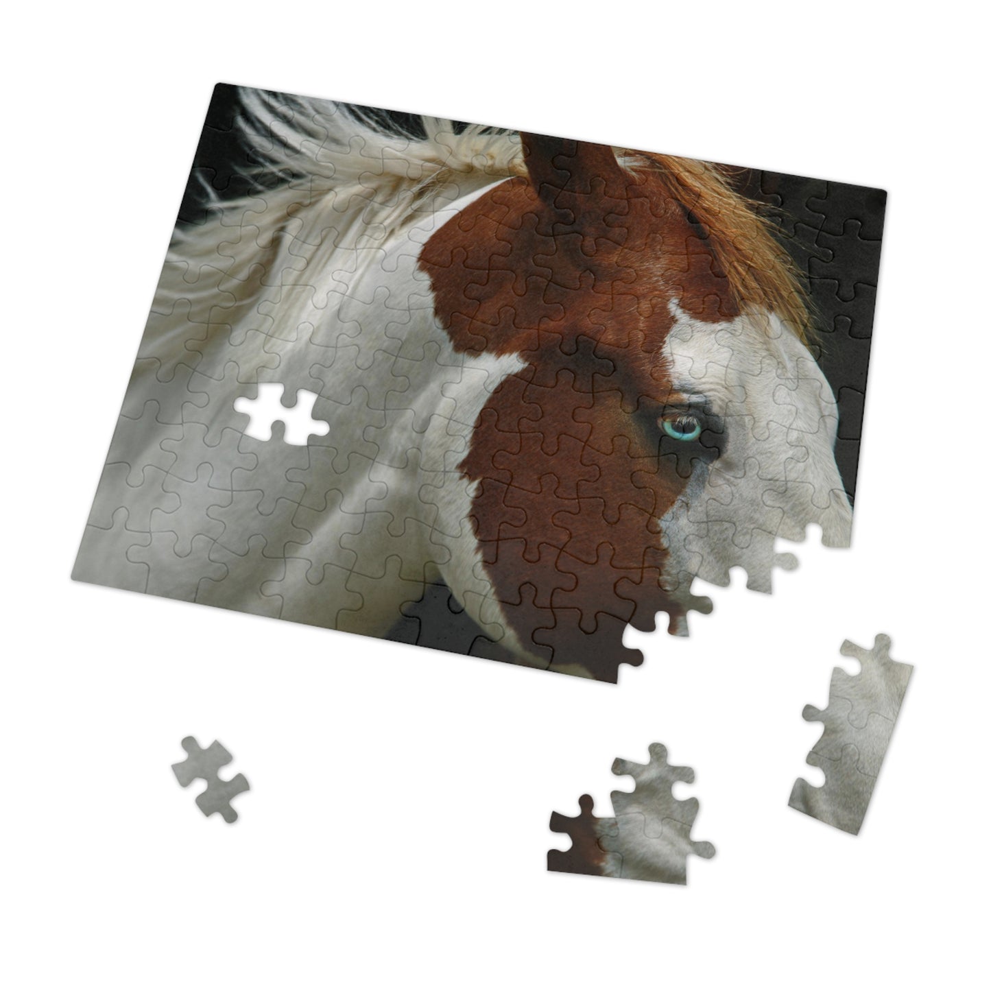 Pinto Majesty Jigsaw Puzzle (30, 110, 252, 500,1000-Piece)