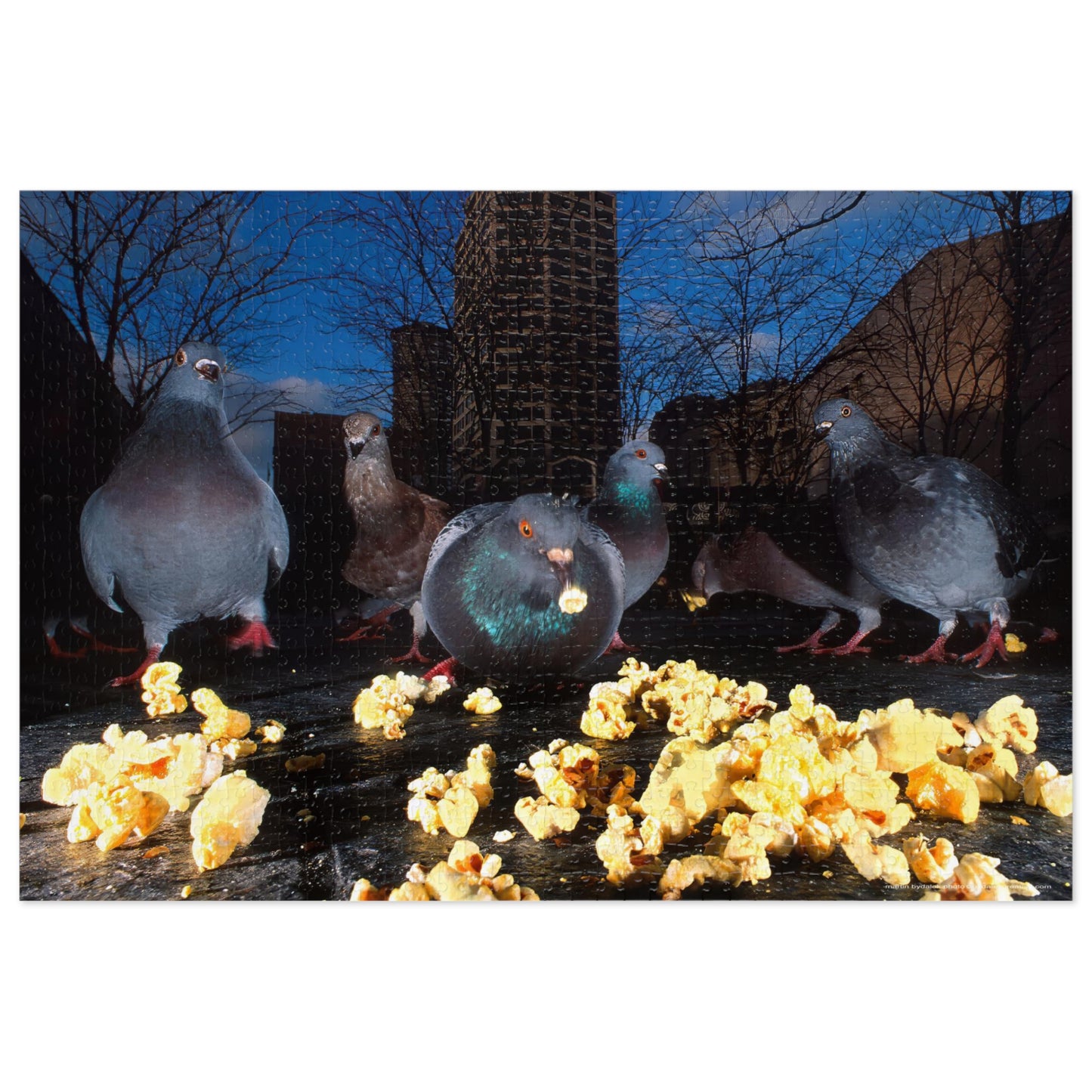 Pigeon Picnic Jigsaw Puzzle (30, 110, 252, 500,1000-Piece)