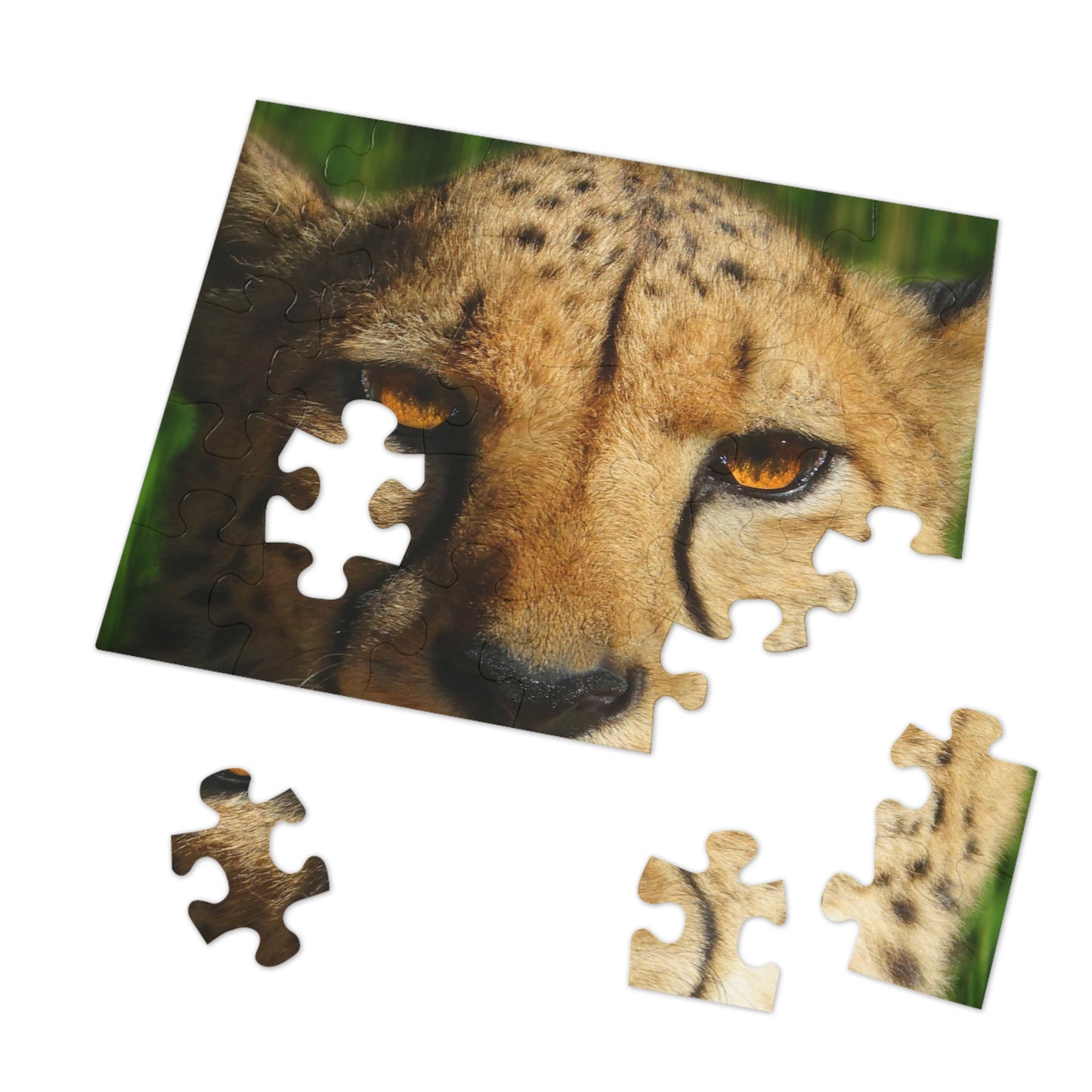 Swift Spots Jigsaw Puzzle (30, 110, 252, 500,1000-Piece)