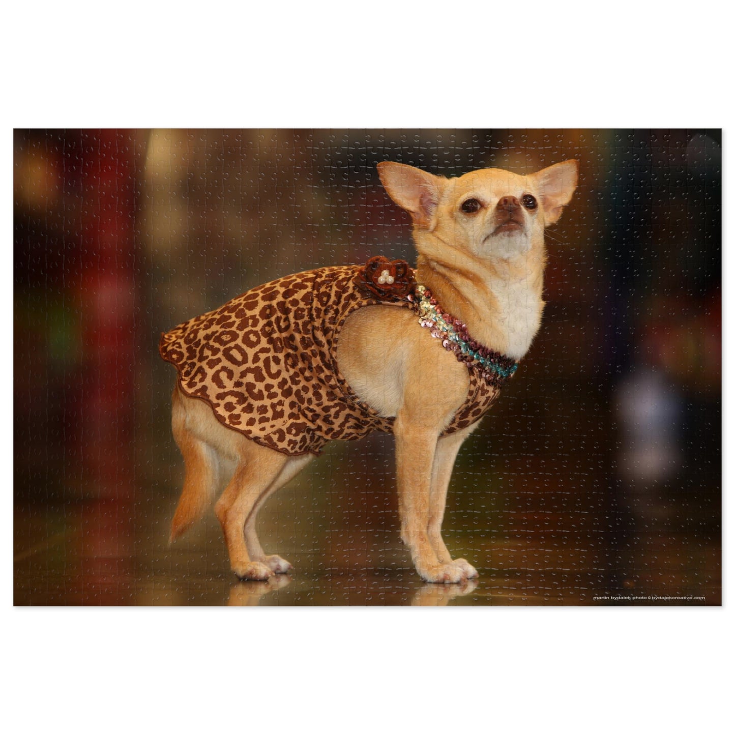 Chic Chihuahua Jigsaw Puzzle (30, 110, 252, 500,1000-Piece)