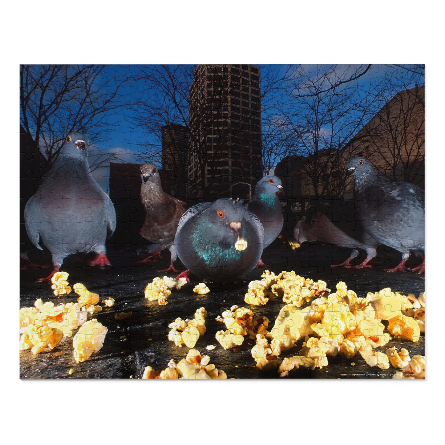 Pigeon Picnic Jigsaw Puzzle (30, 110, 252, 500,1000-Piece)