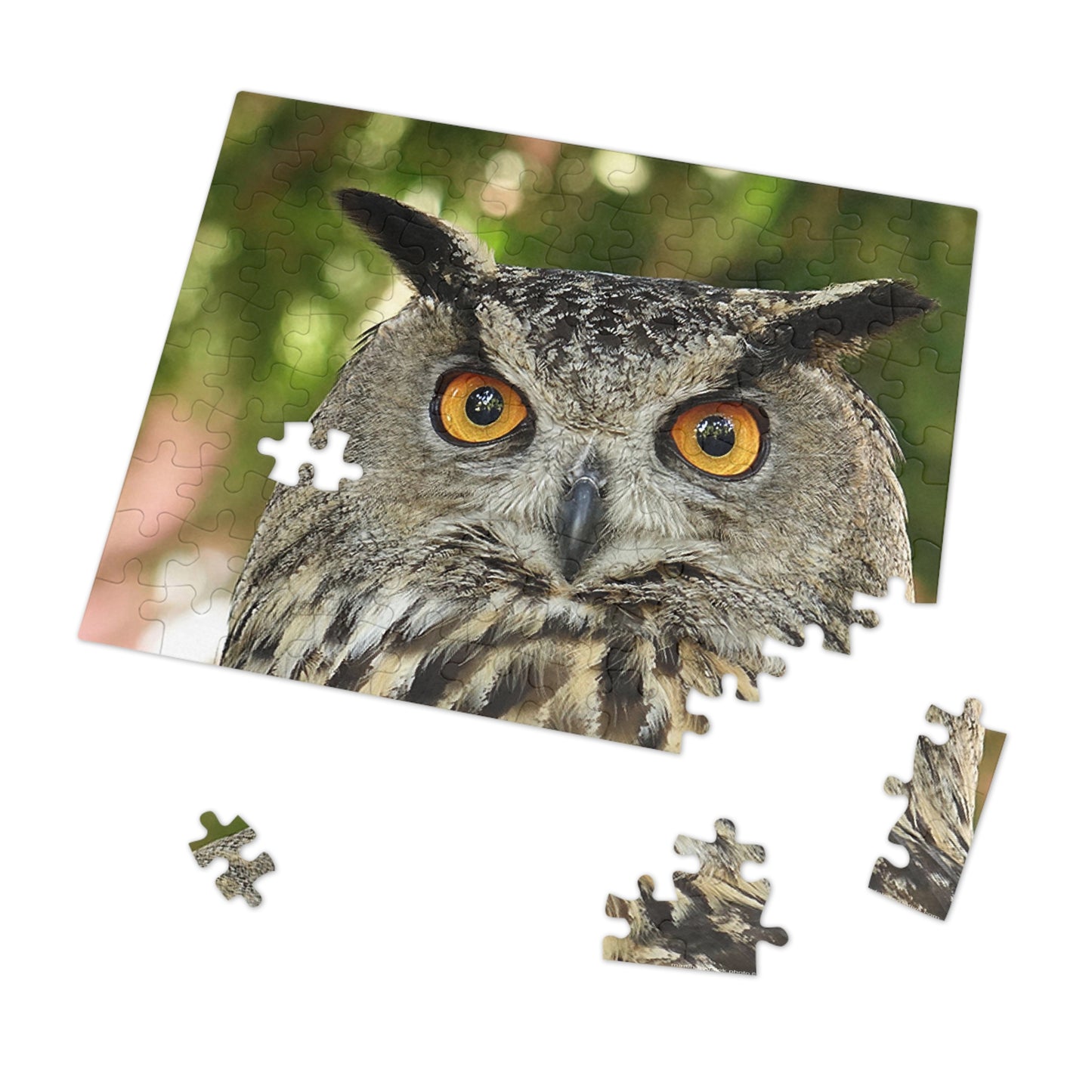 Enchanting Owl Jigsaw Puzzle (30, 110, 252, 500,1000-Piece)