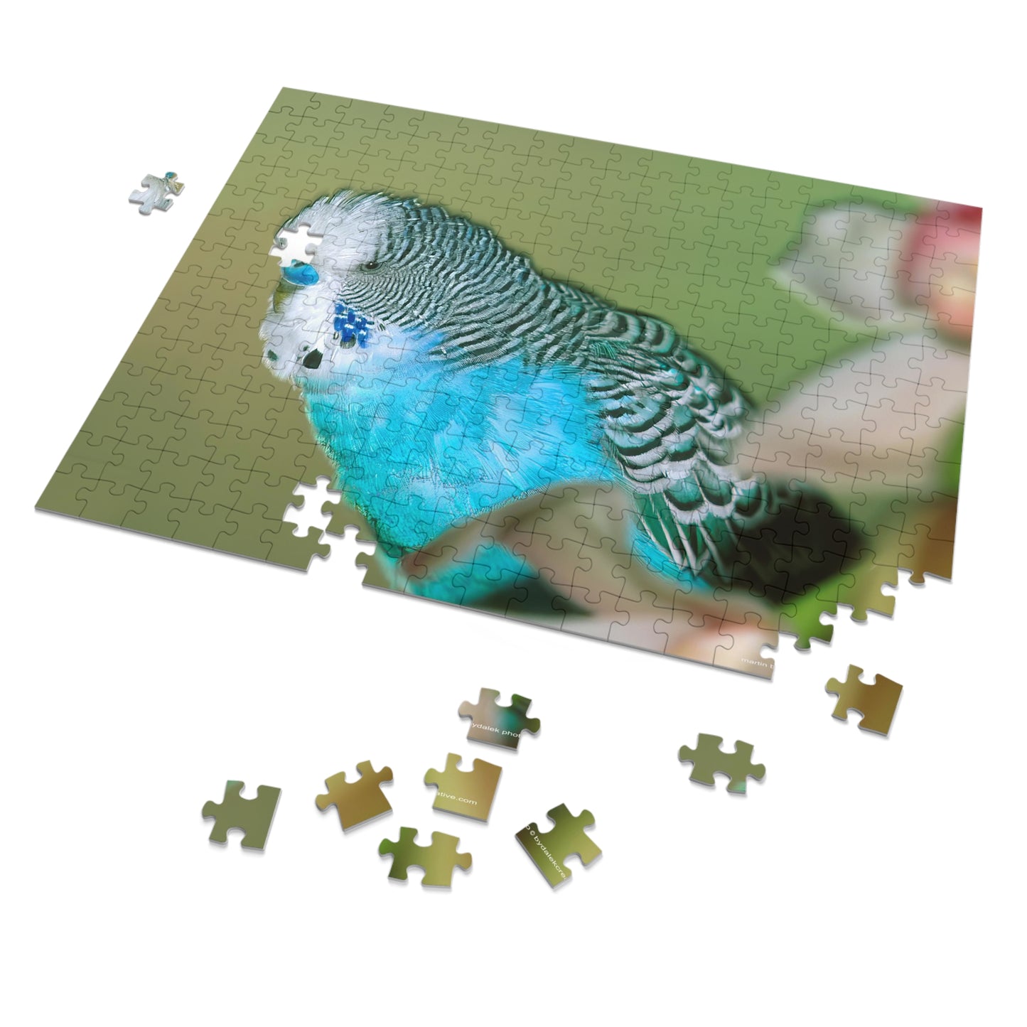 Parakeet Jigsaw Puzzle (30, 110, 252, 500,1000-Piece)