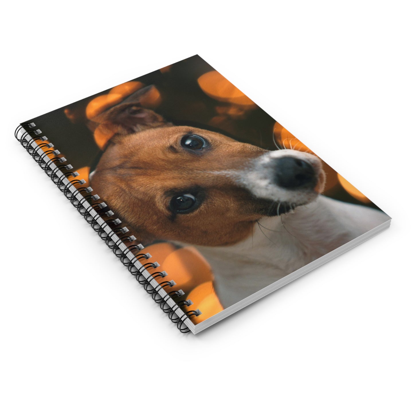 Curious Jack Spiral Notebook - Ruled Line