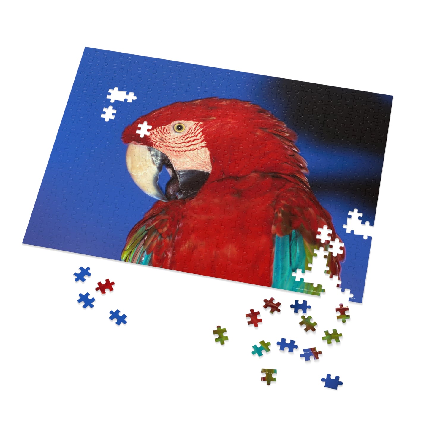 Macaw Jigsaw Puzzle (30, 110, 252, 500,1000-Piece)