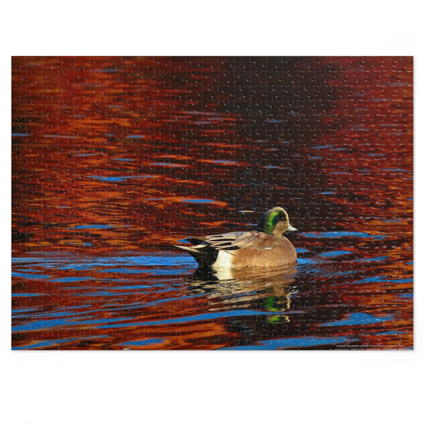 Wondrous Wigeon Jigsaw Puzzle (30, 110, 252, 500,1000-Piece)