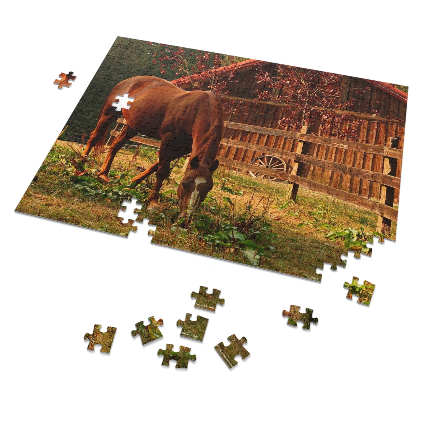 Equestrian Elegance Jigsaw Puzzle (30, 110, 252, 500,1000-Piece)