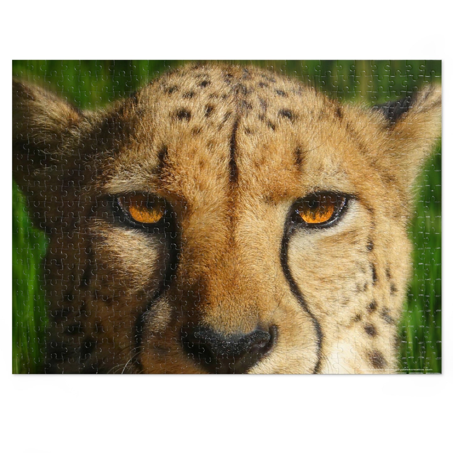 Swift Spots Jigsaw Puzzle (30, 110, 252, 500,1000-Piece)