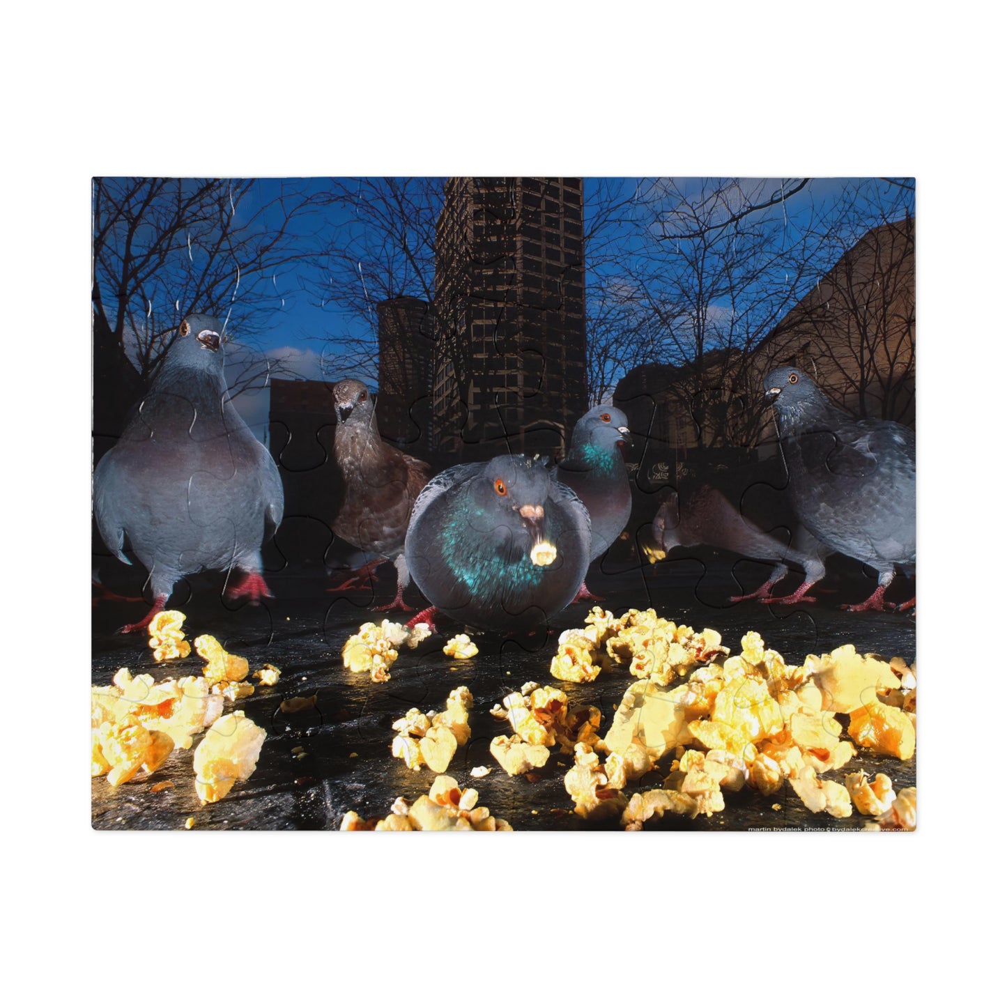 Pigeon Picnic Jigsaw Puzzle (30, 110, 252, 500,1000-Piece)