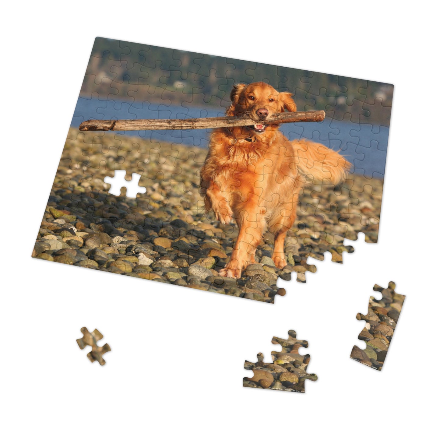 Golden Serenity Jigsaw Puzzle (30, 110, 252, 500,1000-Piece)