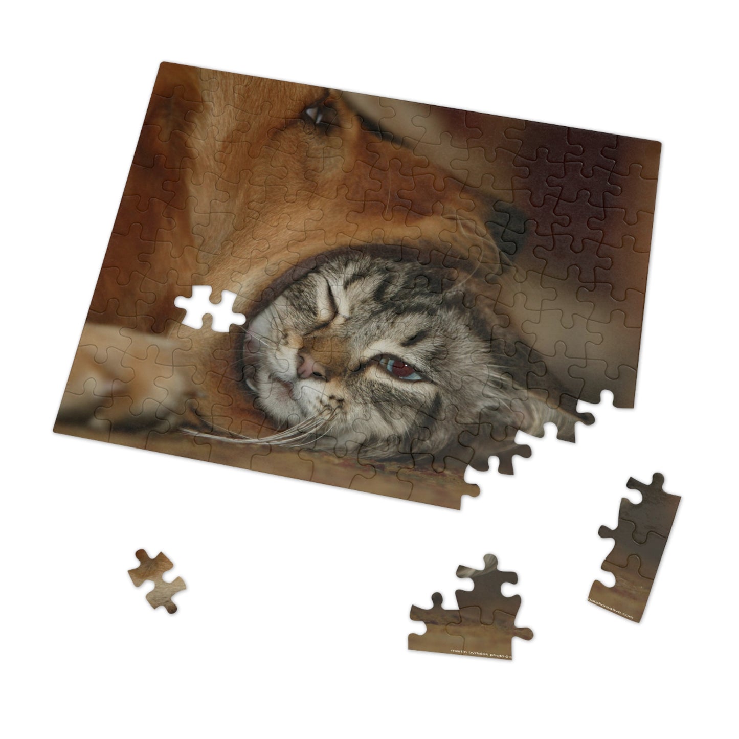 Unexpected Friendship Jigsaw Puzzle (30, 110, 252, 500,1000-Piece)