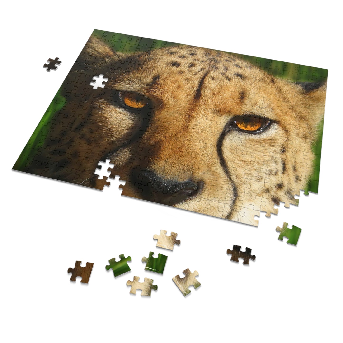 Swift Spots Jigsaw Puzzle (30, 110, 252, 500,1000-Piece)