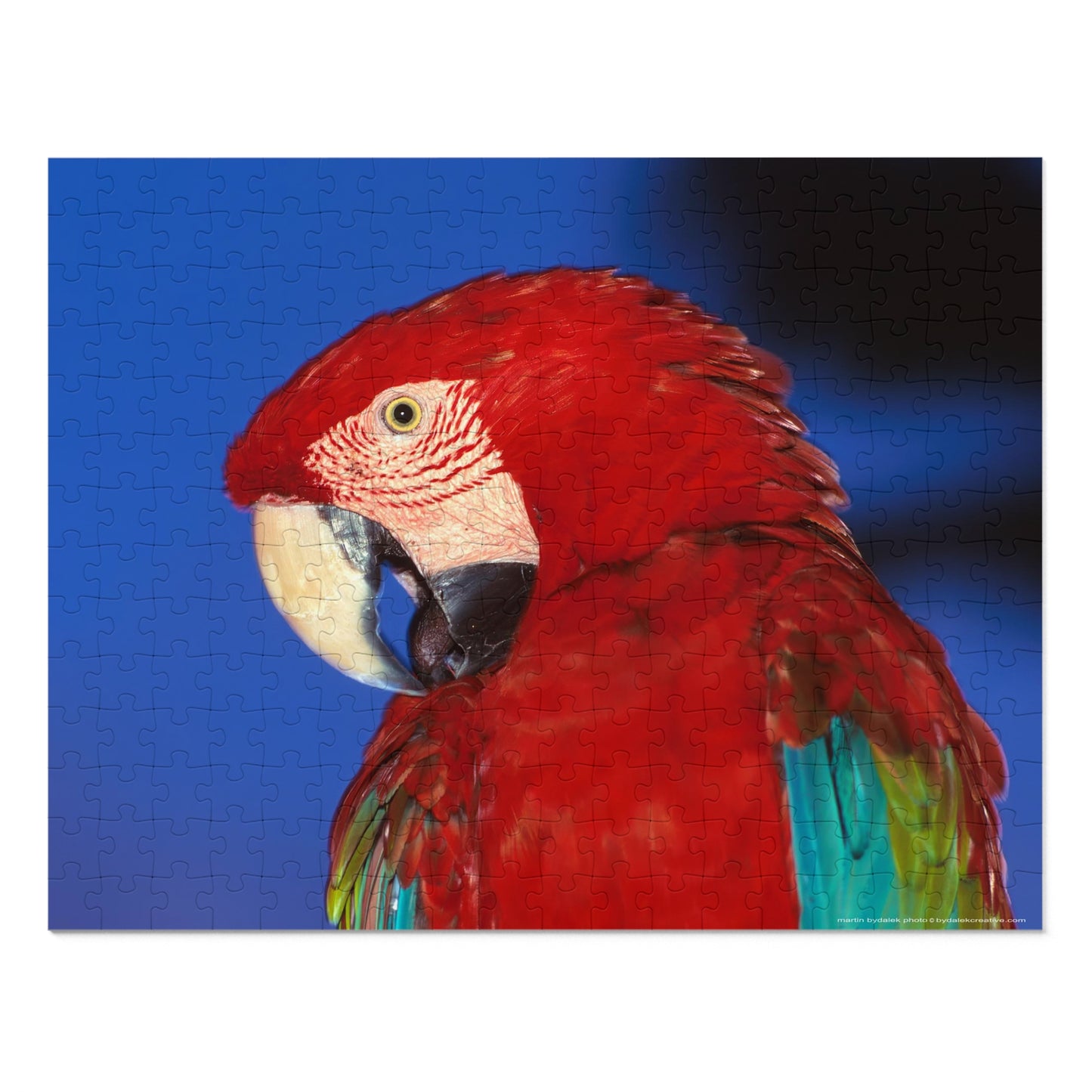 Macaw Jigsaw Puzzle (30, 110, 252, 500,1000-Piece)