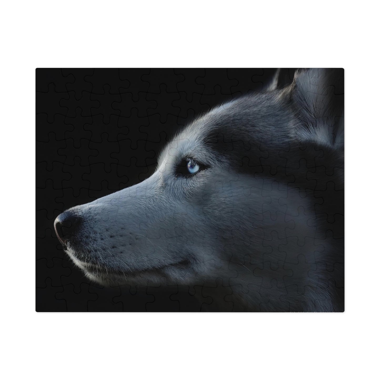 Husky Gaze Jigsaw Puzzle (30, 110, 252, 500,1000-Piece)