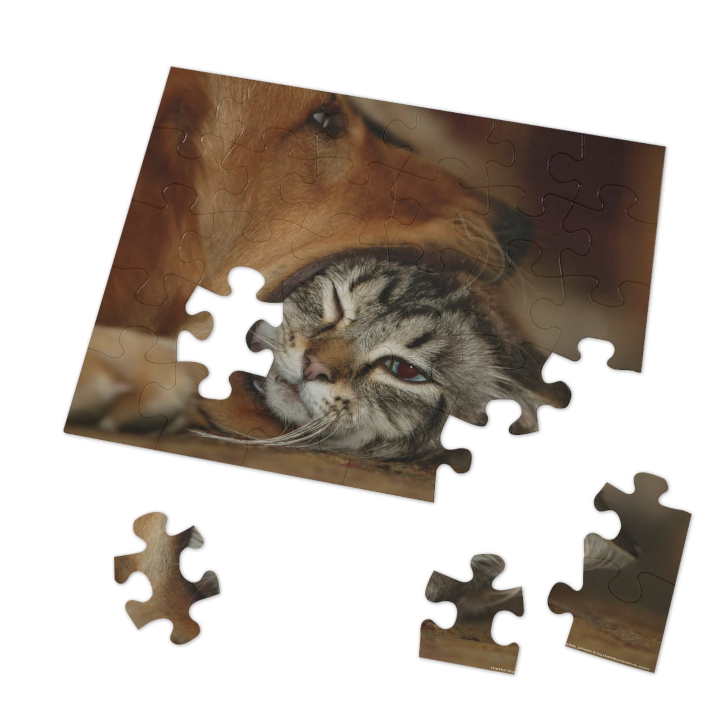 Unexpected Friendship Jigsaw Puzzle (30, 110, 252, 500,1000-Piece)