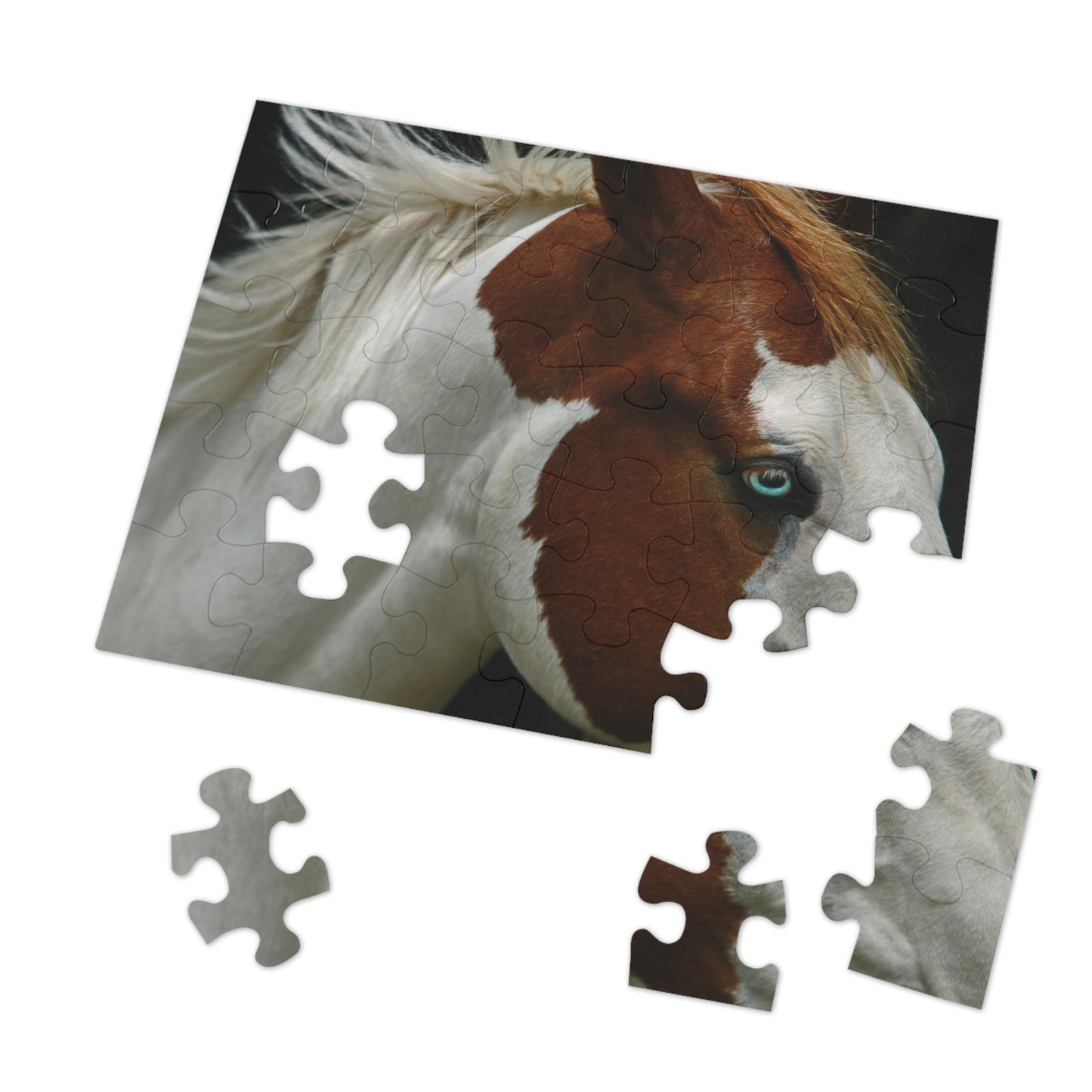 Pinto Majesty Jigsaw Puzzle (30, 110, 252, 500,1000-Piece)