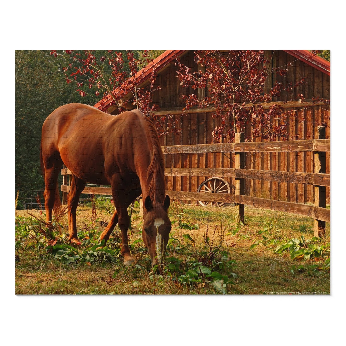 Equestrian Elegance Jigsaw Puzzle (30, 110, 252, 500,1000-Piece)