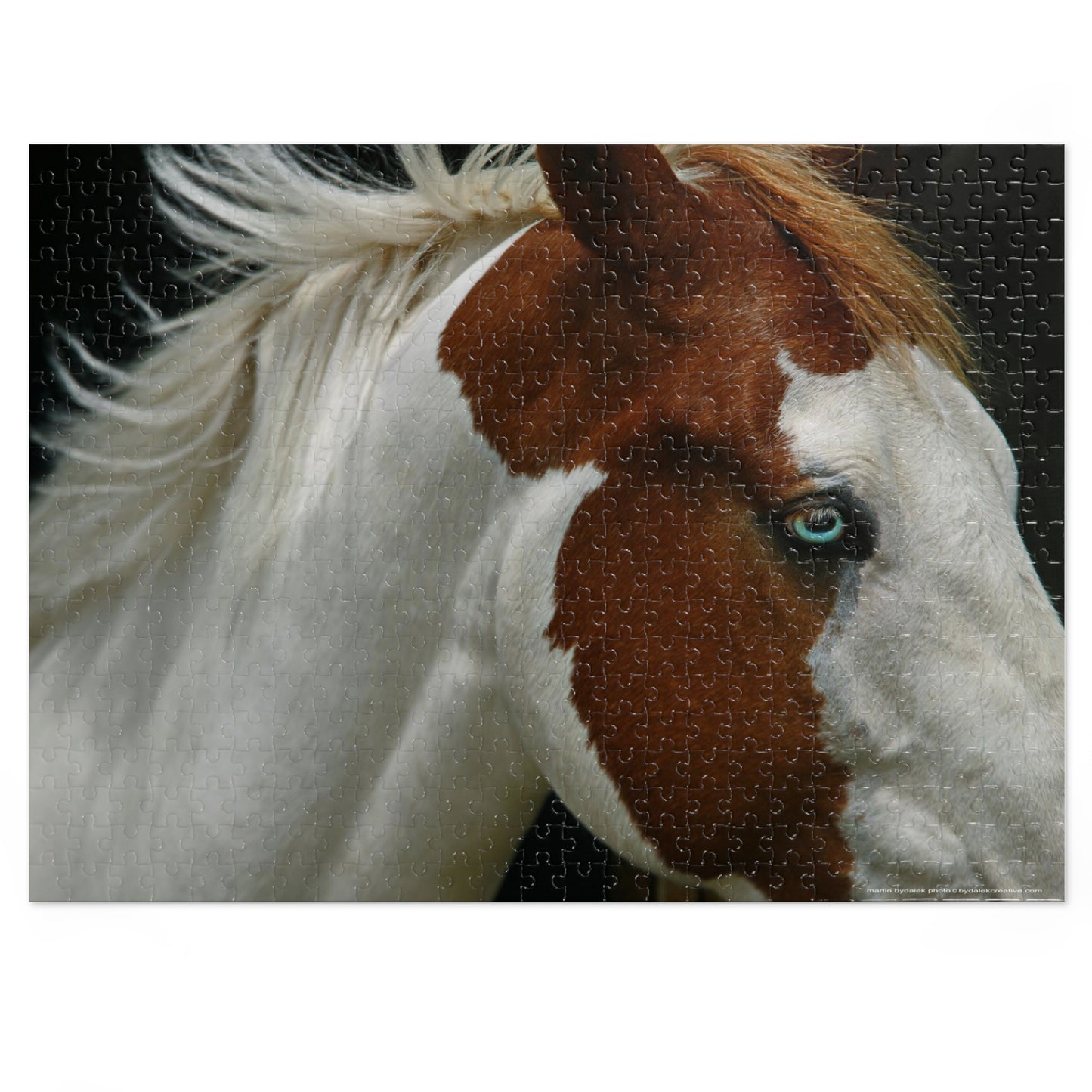 Pinto Majesty Jigsaw Puzzle (30, 110, 252, 500,1000-Piece)