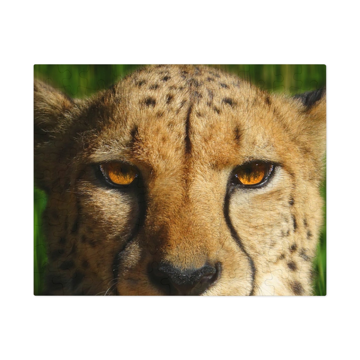 Swift Spots Jigsaw Puzzle (30, 110, 252, 500,1000-Piece)