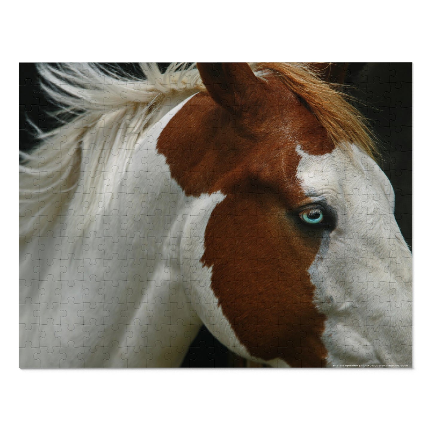 Pinto Majesty Jigsaw Puzzle (30, 110, 252, 500,1000-Piece)