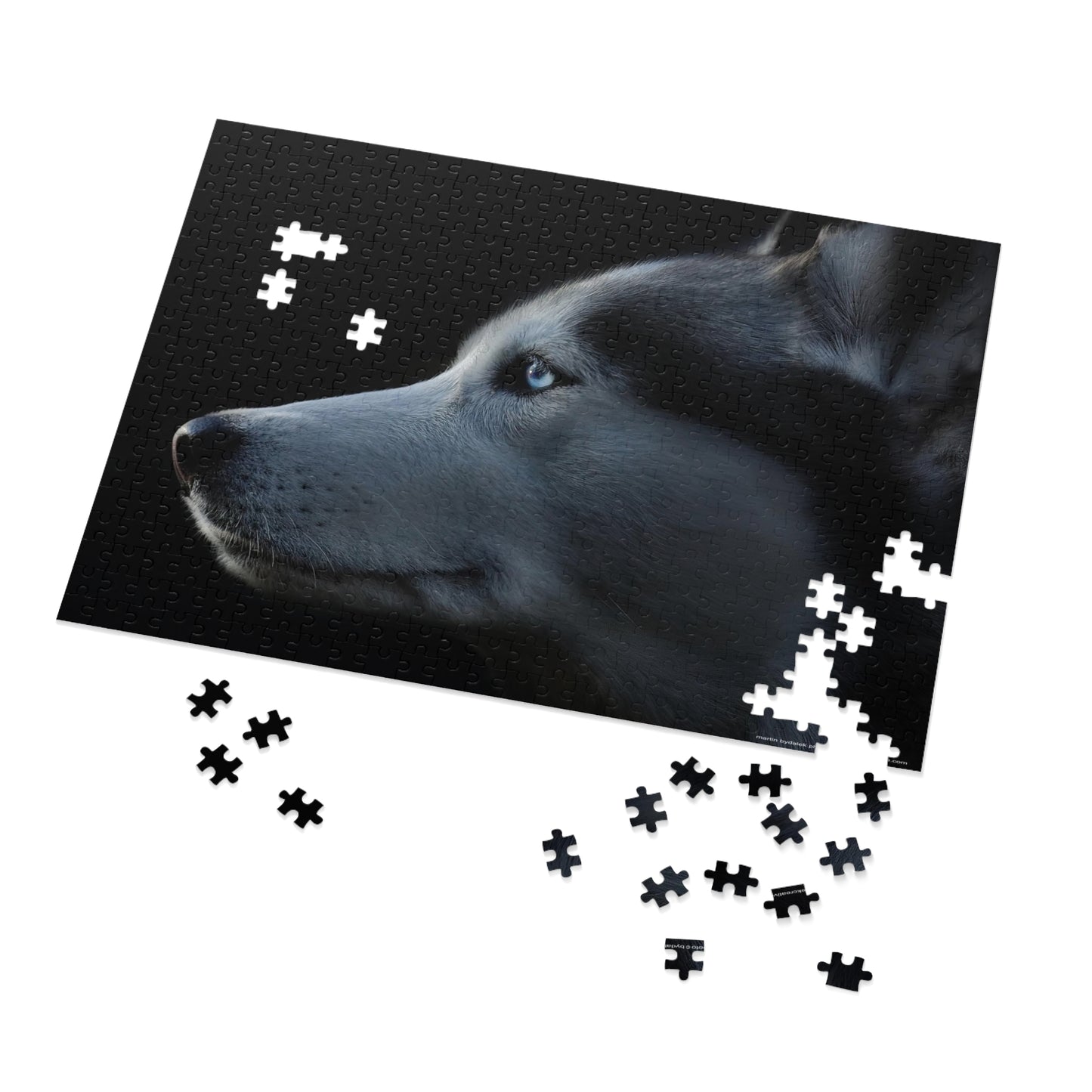 Husky Gaze Jigsaw Puzzle (30, 110, 252, 500,1000-Piece)