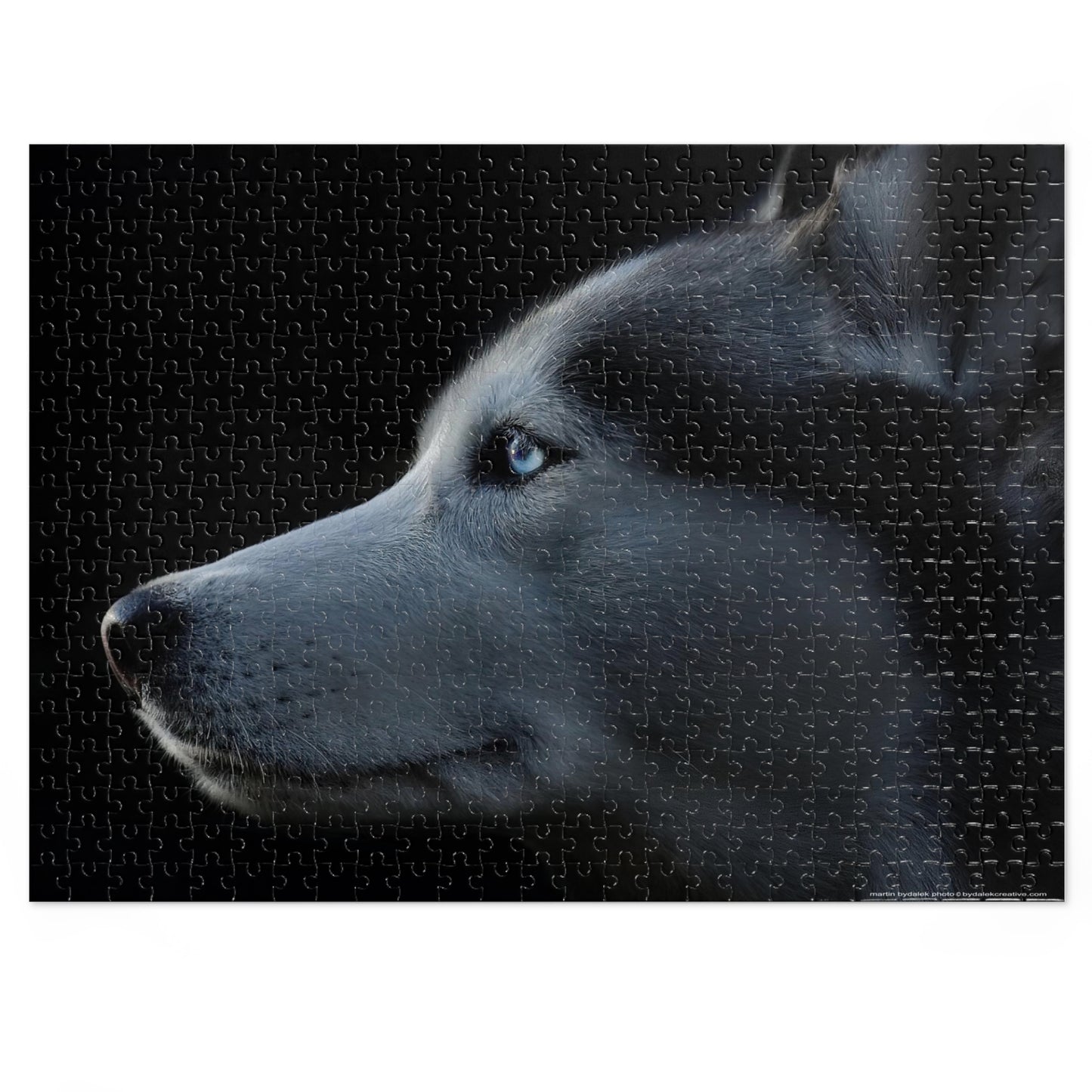 Husky Gaze Jigsaw Puzzle (30, 110, 252, 500,1000-Piece)