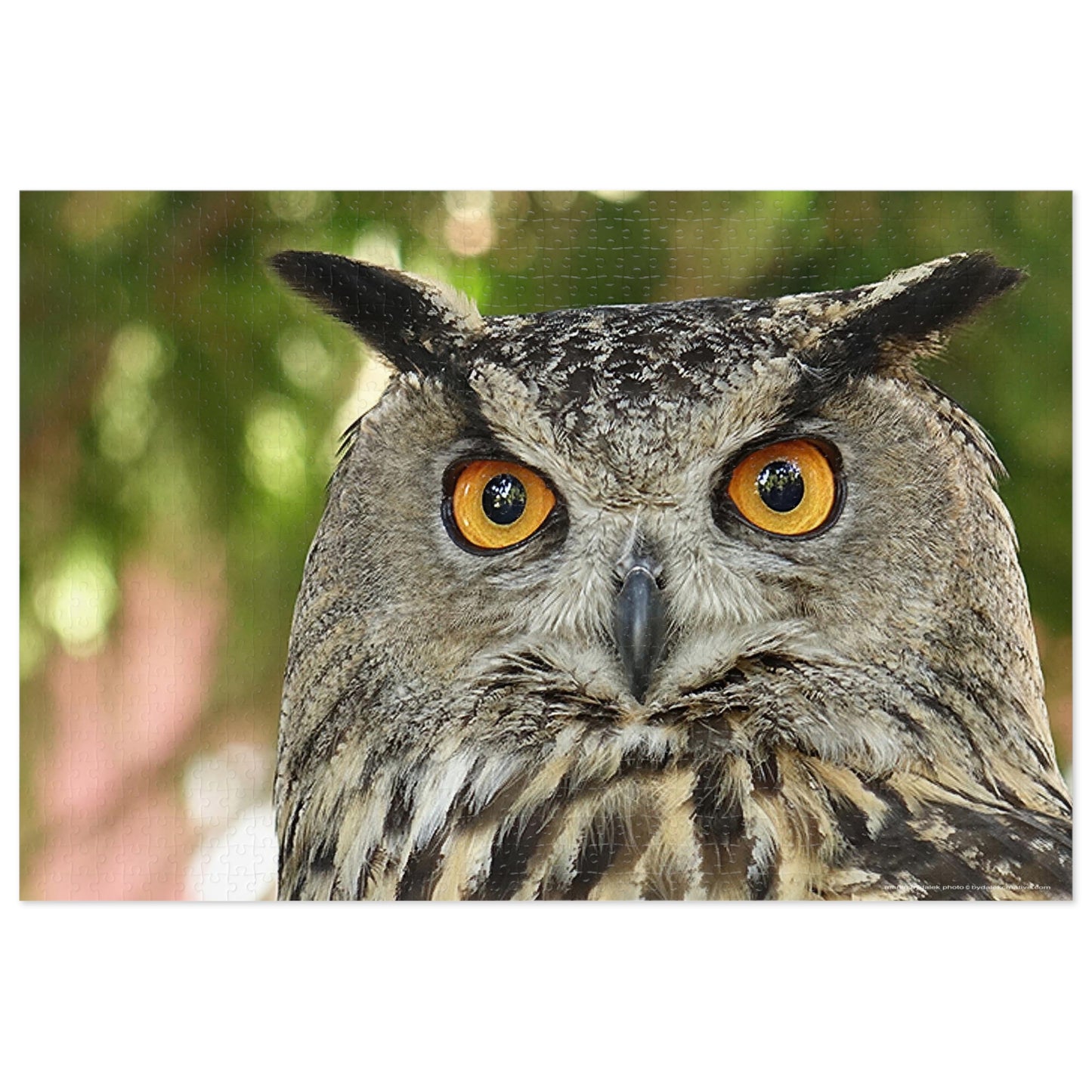 Enchanting Owl Jigsaw Puzzle (30, 110, 252, 500,1000-Piece)