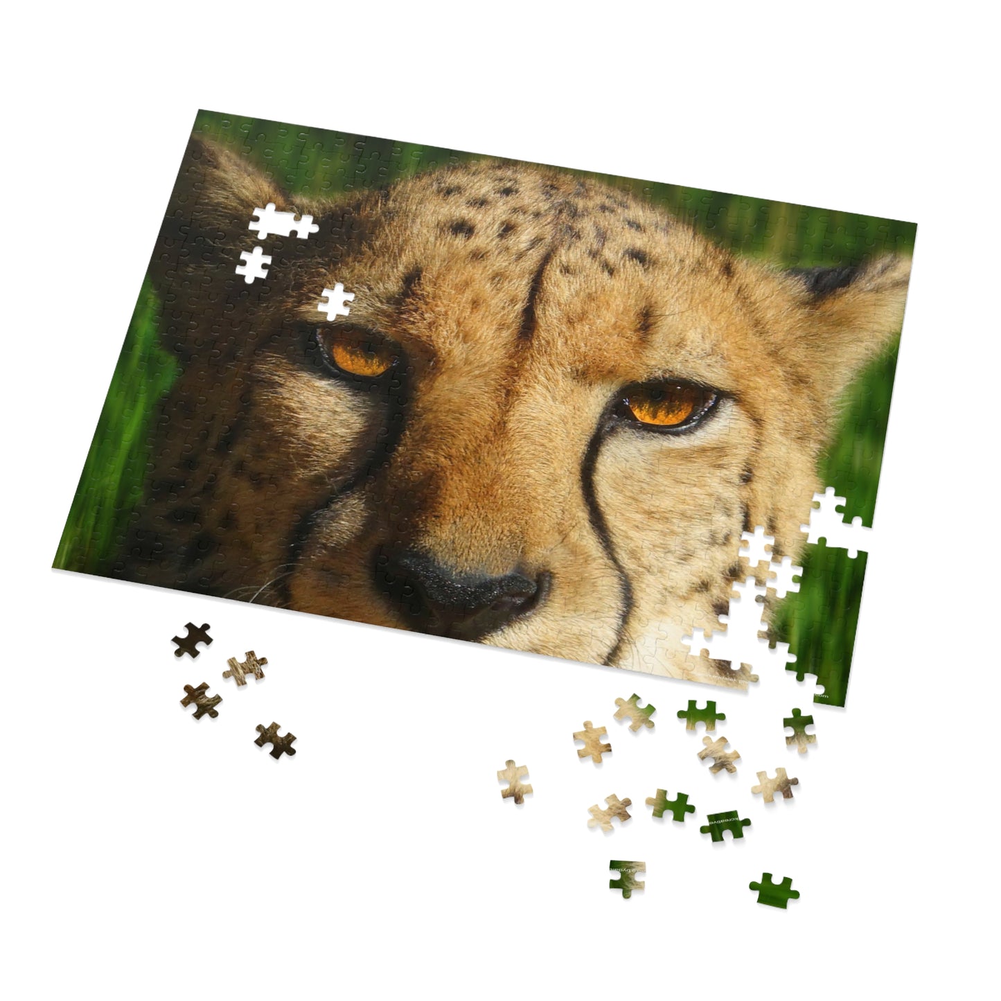 Swift Spots Jigsaw Puzzle (30, 110, 252, 500,1000-Piece)