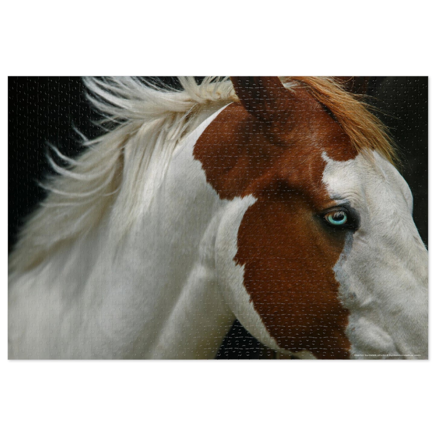 Pinto Majesty Jigsaw Puzzle (30, 110, 252, 500,1000-Piece)